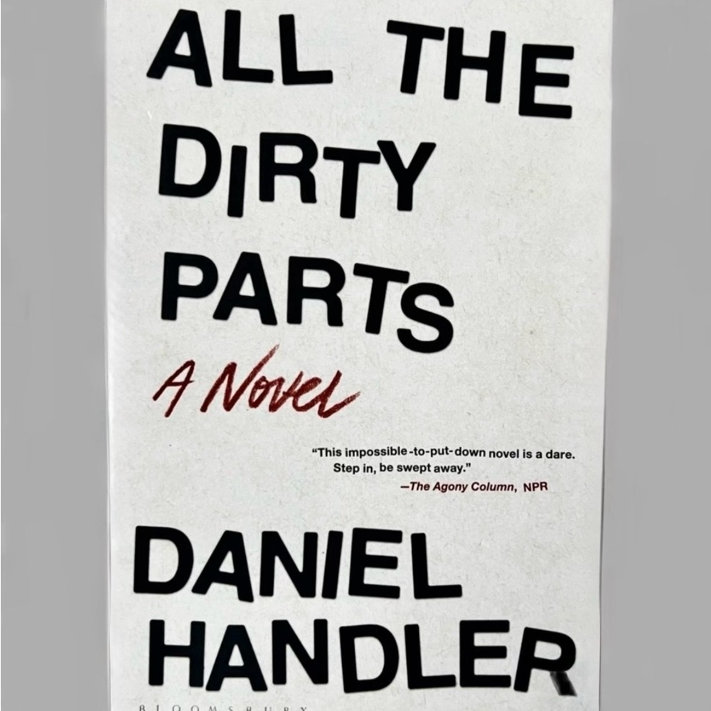 The Dirty Parts Paperback Fiction Novel by Daniel Handler